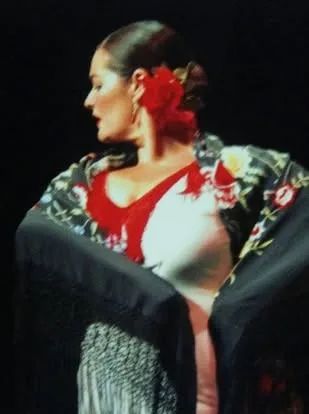 Festival de Folkmoot EE.UU 2009 — foto 2