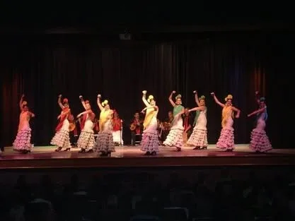 Festival de Folkmoot EE.UU 2009 — foto 4