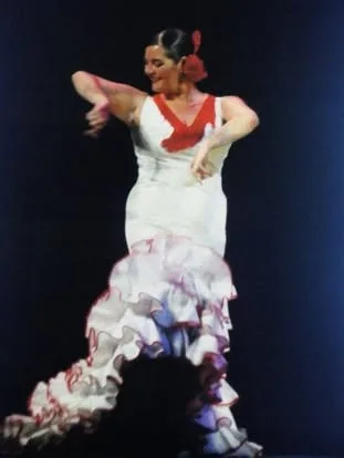 Festival de Folkmoot EE.UU 2009 — foto 7