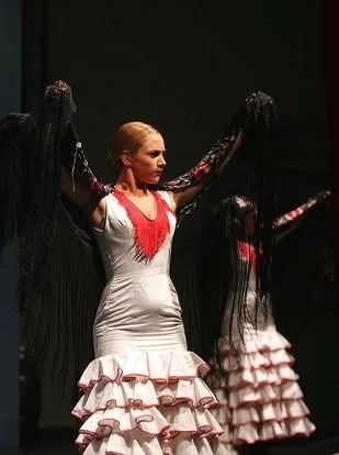 Festival de Folkmoot EE.UU 2009 — foto 9