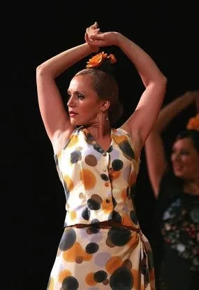 Festival de Folkmoot EE.UU 2009 — foto 14