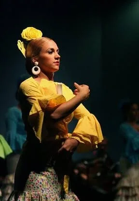 Festival de Folkmoot EE.UU 2009 — foto 15