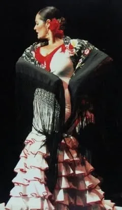 Festival de Folkmoot EE.UU 2009 — foto 1